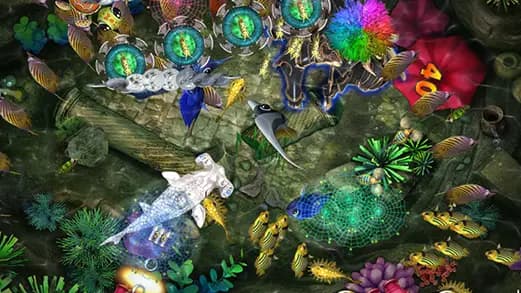 How to Access Fire Kirin Web in USA